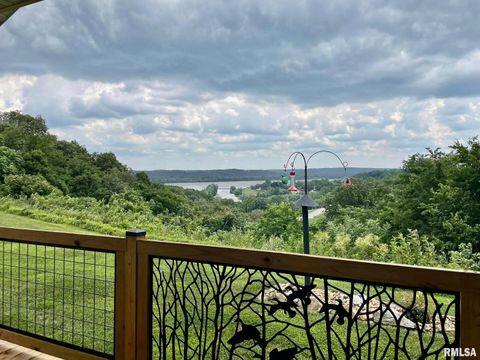 Tiny photo for 20 Xanders Lane, Golconda, IL 62938 (MLS # EB454285)