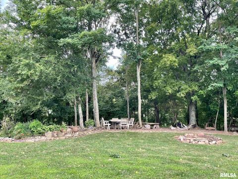 Tiny photo for 20 Xanders Lane, Golconda, IL 62938 (MLS # EB454285)