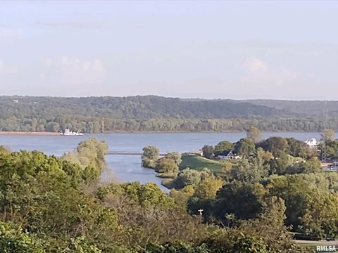 Tiny photo for 20 Xanders Lane, Golconda, IL 62938 (MLS # EB454285)