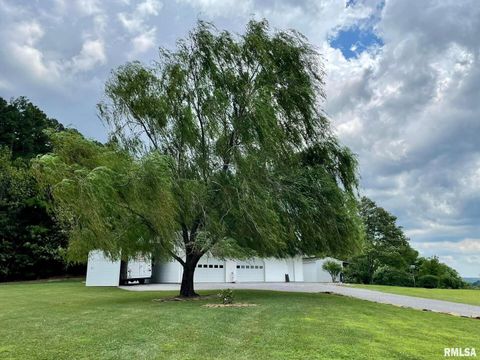 Tiny photo for 20 Xanders Lane, Golconda, IL 62938 (MLS # EB454285)