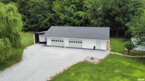 Tiny photo for 20 Xanders Lane, Golconda, IL 62938 (MLS # EB454285)