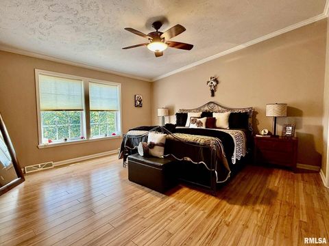 Tiny photo for 20 Xanders Lane, Golconda, IL 62938 (MLS # EB454285)