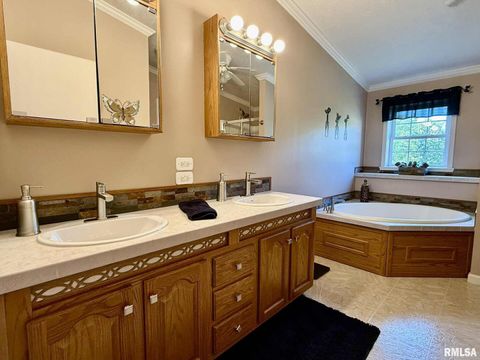 Tiny photo for 20 Xanders Lane, Golconda, IL 62938 (MLS # EB454285)