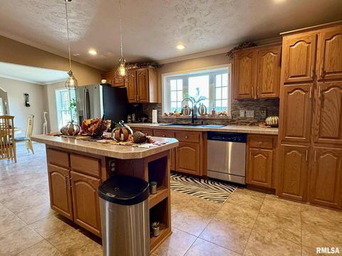 Tiny photo for 20 Xanders Lane, Golconda, IL 62938 (MLS # EB454285)