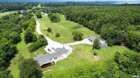 Tiny photo for 20 Xanders Lane, Golconda, IL 62938 (MLS # EB454285)