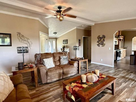 Tiny photo for 20 Xanders Lane, Golconda, IL 62938 (MLS # EB454285)