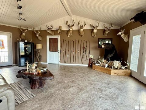 Tiny photo for 20 Xanders Lane, Golconda, IL 62938 (MLS # EB454285)