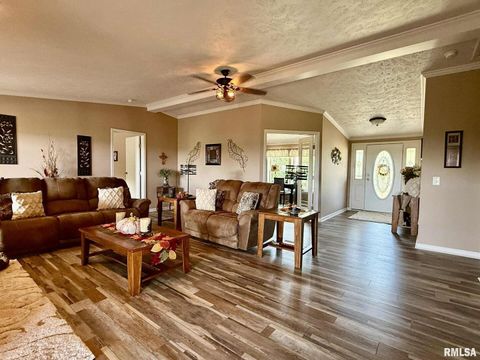 Tiny photo for 20 Xanders Lane, Golconda, IL 62938 (MLS # EB454285)