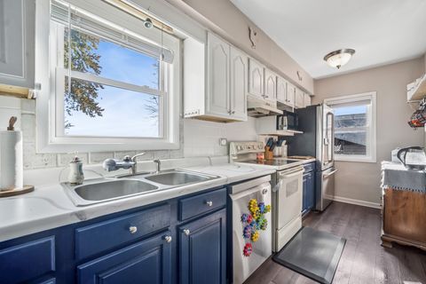 Tiny photo for Elgin, IL 60124 (MLS # 12510458)