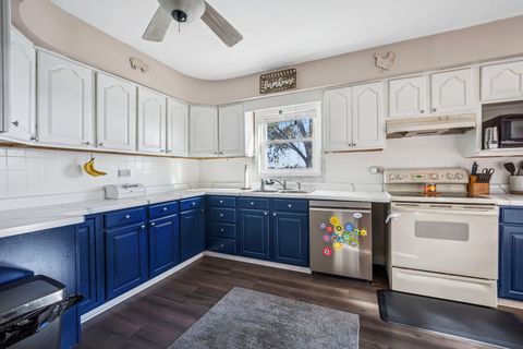 Tiny photo for Elgin, IL 60124 (MLS # 12510458)