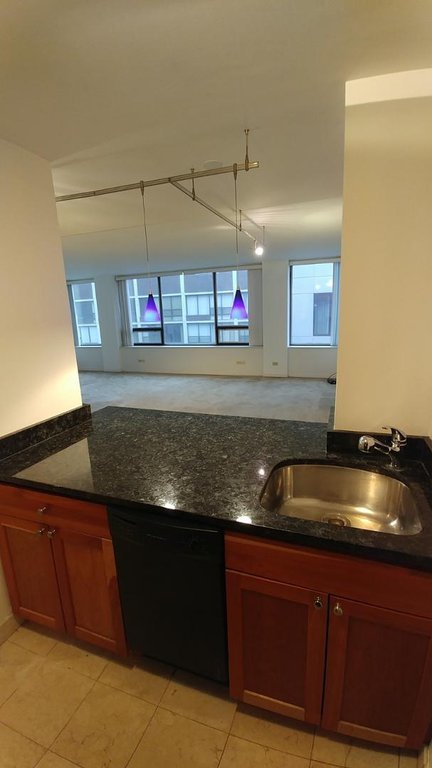 233 E Erie Street 2208