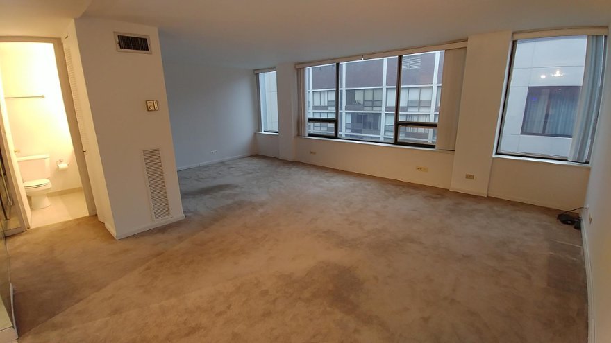 233 E Erie Street 2208