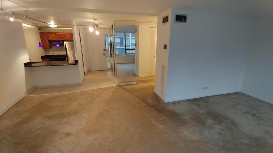 233 E Erie Street 2208