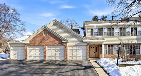 1516 CAMDEN Court A1 Wheeling IL 60090