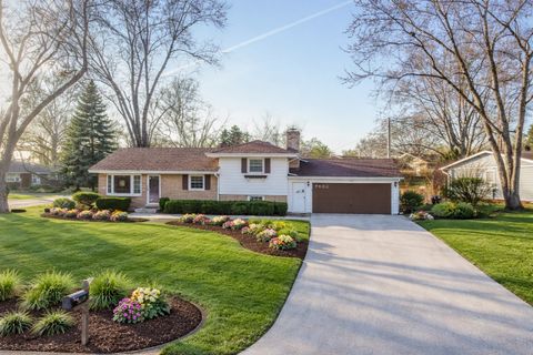 7802 Warwick Avenue Darien IL 60561