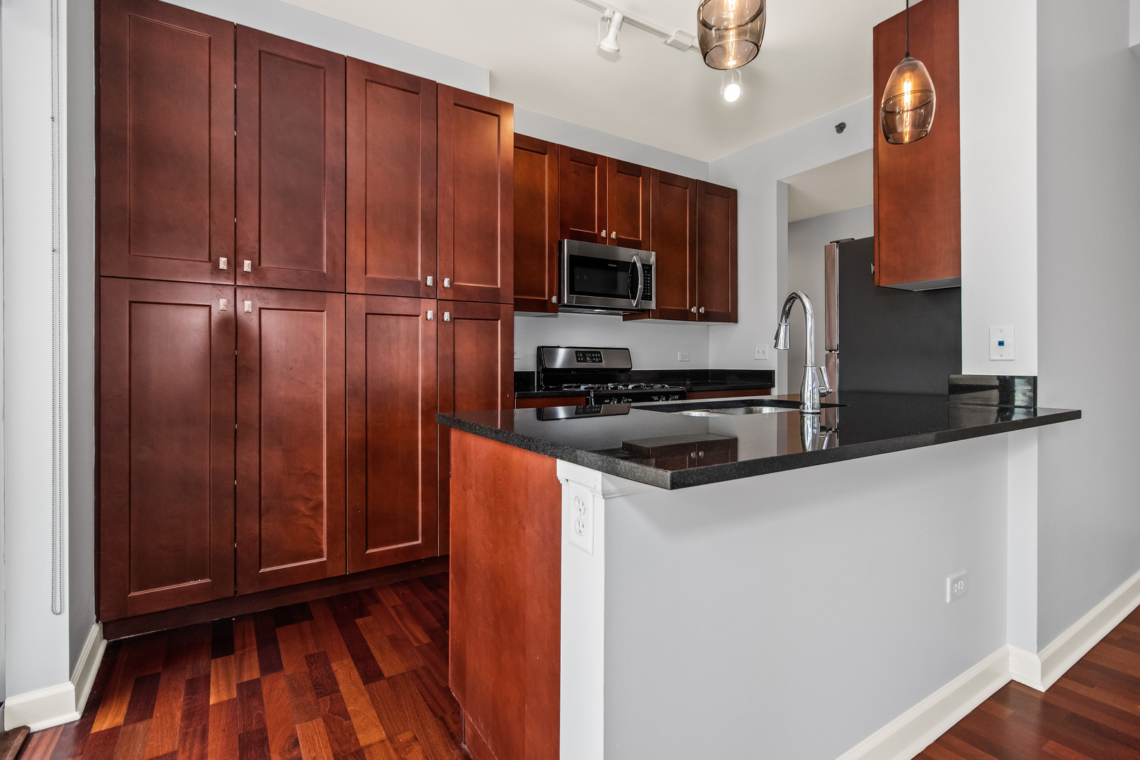 1400 S Michigan Avenue 704