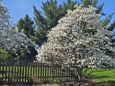 A home in Spring Grove