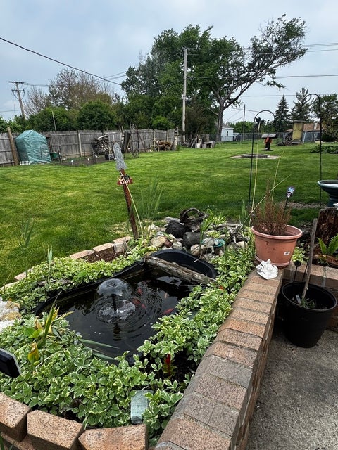 Tiny photo for 1100 S Columbine Avenue, Lombard, IL 60148 (MLS # 12651442)