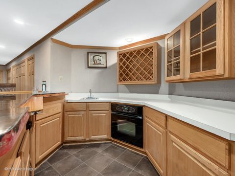 Tiny photo for La Grange, IL 60525 (MLS # 12561090)