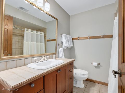 Tiny photo for La Grange, IL 60525 (MLS # 12561090)