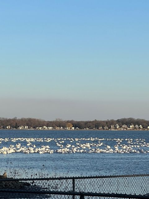 A home in McHenry