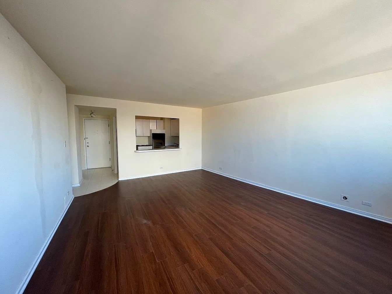 1150 N Lake Shore Drive 17G