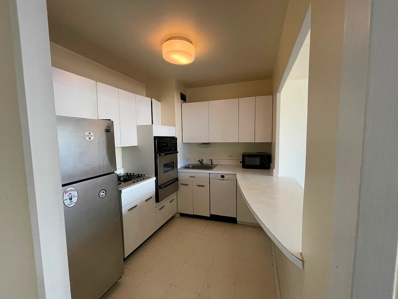 1150 N Lake Shore Drive 17G