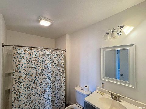 Tiny photo for 6520 US Hwy 150, Alpha, IL 61413 (MLS # QC4268839)