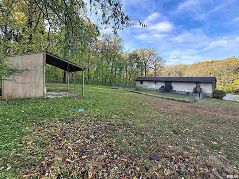 Tiny photo for 6520 US Hwy 150, Alpha, IL 61413 (MLS # QC4268839)