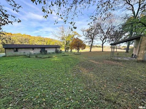 Tiny photo for 6520 US Hwy 150, Alpha, IL 61413 (MLS # QC4268839)