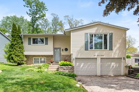 627 Raupp Boulevard Buffalo Grove IL 60089