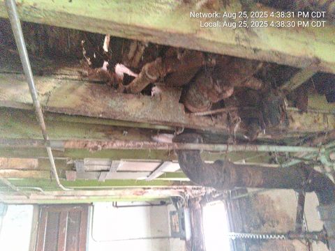 Tiny photo for 2654 W 98th Place, Evergreen Park, IL 60805 (MLS # 12458285)