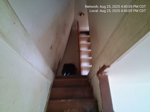 Tiny photo for 2654 W 98th Place, Evergreen Park, IL 60805 (MLS # 12458285)