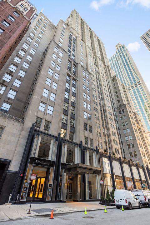 159 E Walton Place 9E Chicago IL 60611