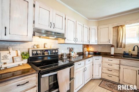 Tiny photo for 516 S 8TH Street, Herrin, IL 62948 (MLS # QC4268082)