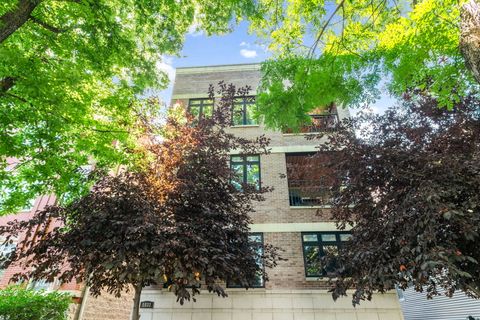 1833 W Addison Street 2 Chicago IL 60613
