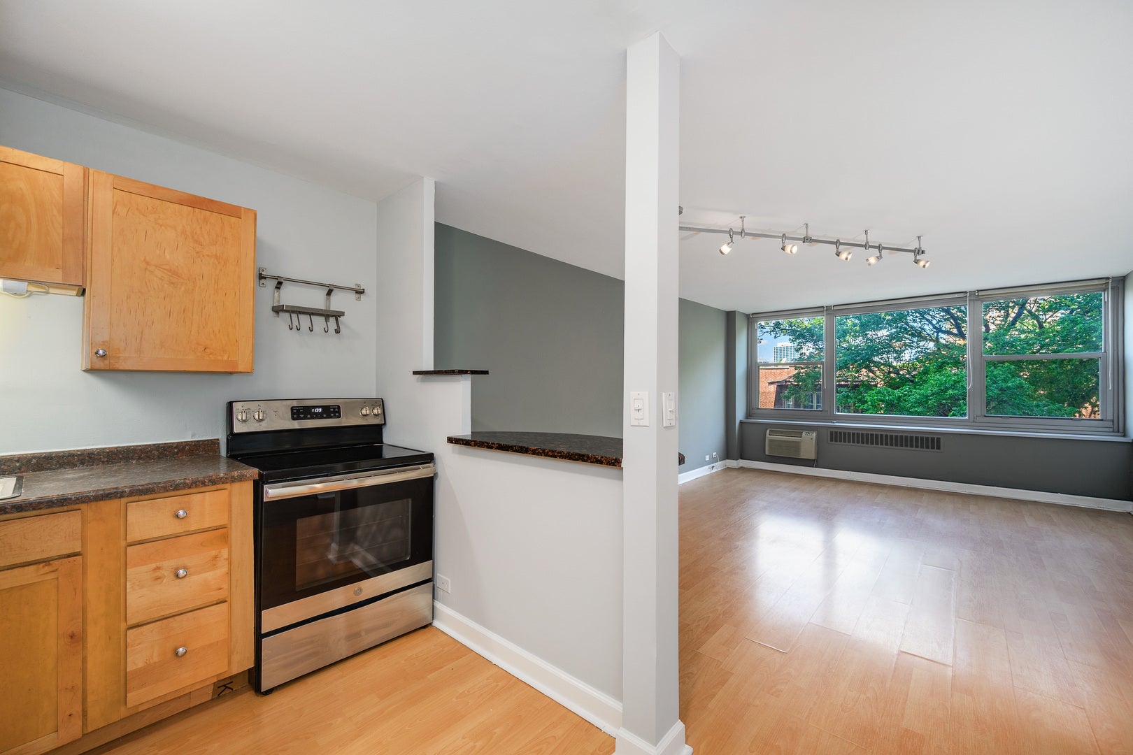 555 W Cornelia Avenue 403