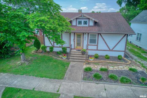 Tiny photo for 2036 SPRUCE Street, Murphysboro, IL 62966 (MLS # EB460338)