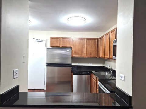 Tiny photo for 222 E PEARSON Street #1107, Chicago, IL 60611 (MLS # 12791491)