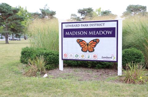 Tiny photo for 620 S Norbury Avenue, Lombard, IL 60148 (MLS # 12511694)