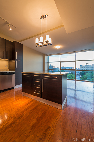 225 S Sangamon Street 411