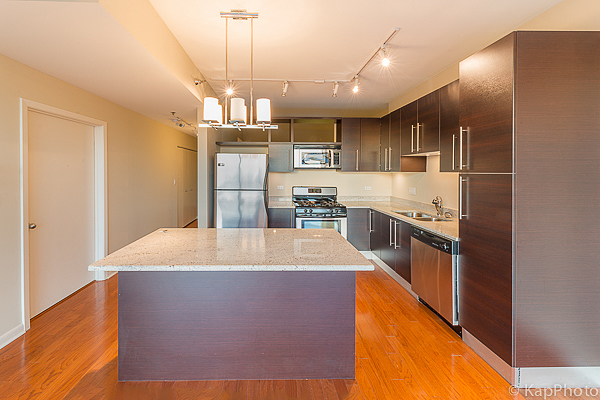 225 S Sangamon Street 411