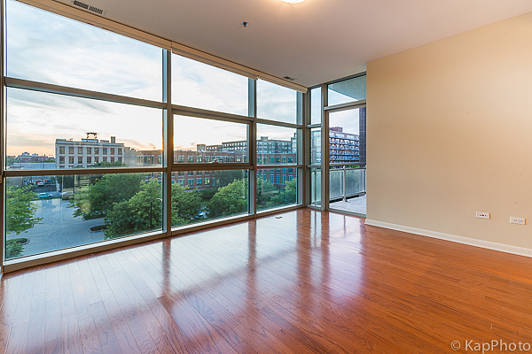 225 S Sangamon Street 411