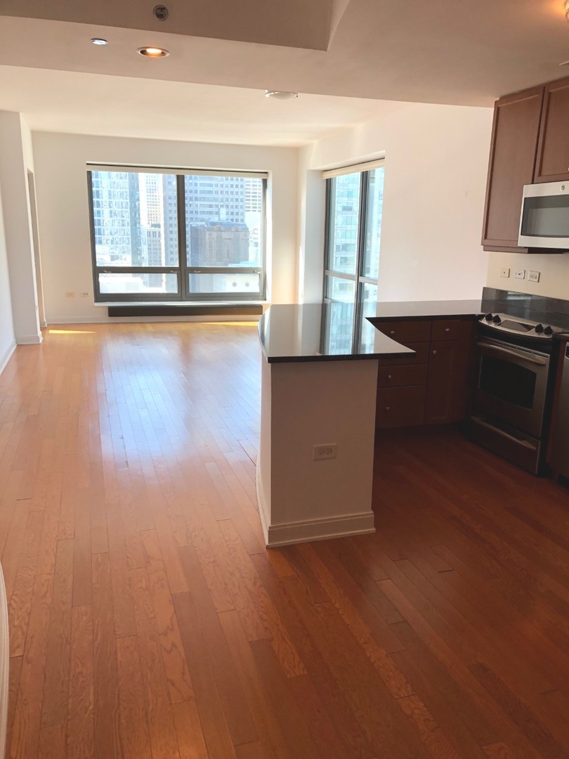130 N Garland Court 2502