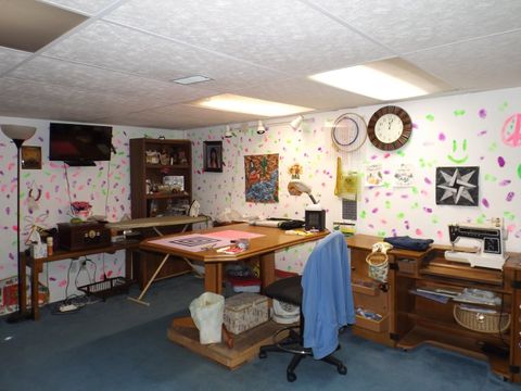 Tiny photo for 808 Locust Street, Prophetstown, IL 61277 (MLS # 12487425)