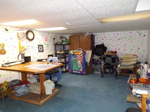 Tiny photo for 808 Locust Street, Prophetstown, IL 61277 (MLS # 12487425)