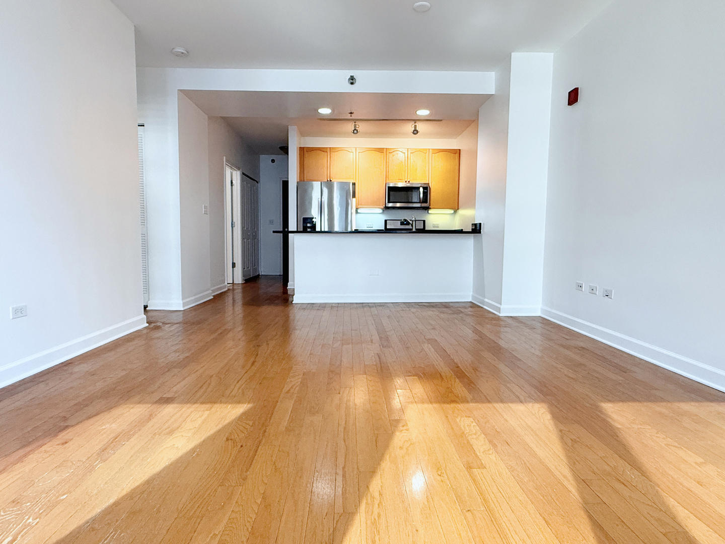 1250 S Michigan Avenue 600