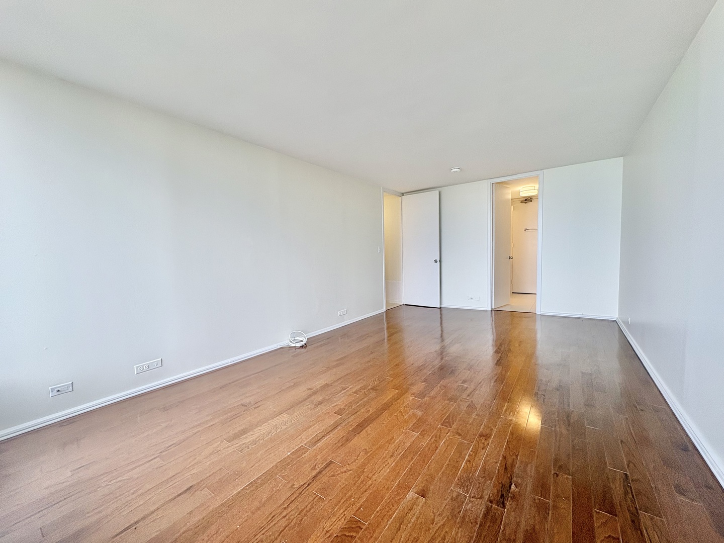 Chicago, Illinois 60611, United States, 2 Bedrooms Bedrooms, ,2 BathroomsBathrooms,Residential,Active,226941