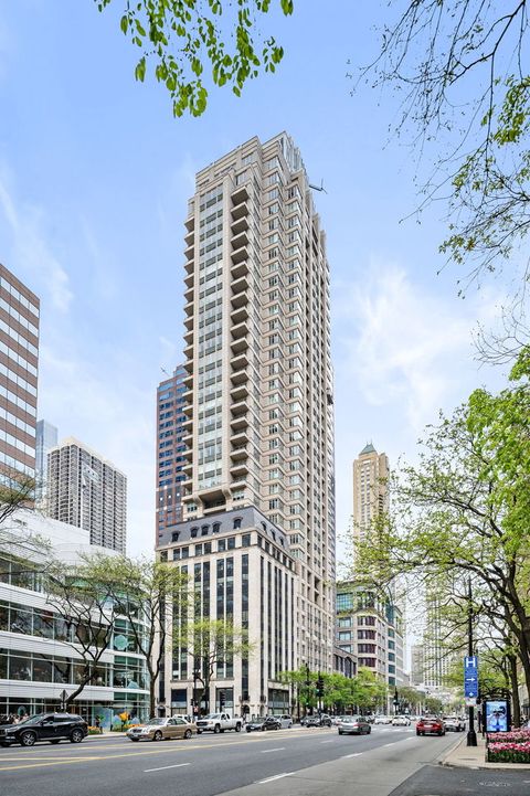 118 E Erie Street 25D Chicago IL 60611