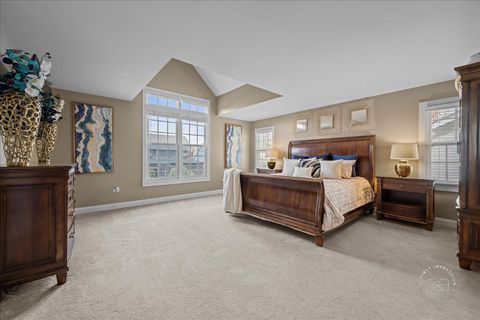 Tiny photo for 427 S Sleight Street, Naperville, IL 60540 (MLS # 12625596)